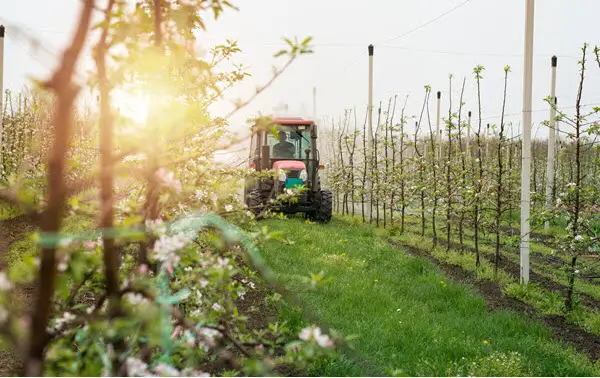orchards-nd-applications