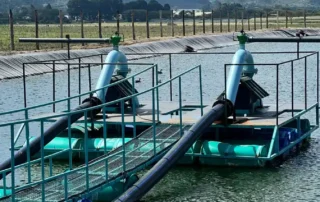 eag-tembo-avocado-floating-pump-platform